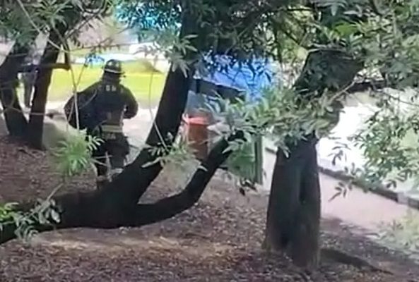 Hombre murió ahogado en Chapultepec; visitantes reportaron cuerpo flotando