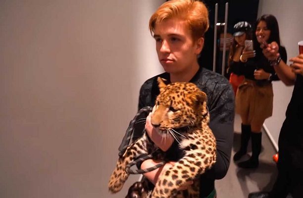 Fofo Márquez presume cómo baña a su leopardo con agua Fiji y champagne #VIDEO