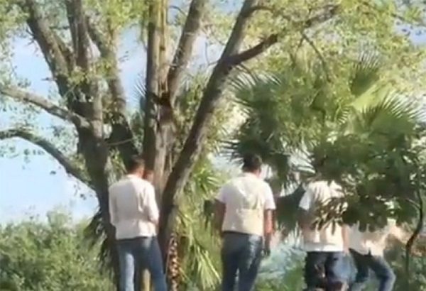Exhiben a cuidadores maltratando a animales en Bioparque Estrella #VIDEO