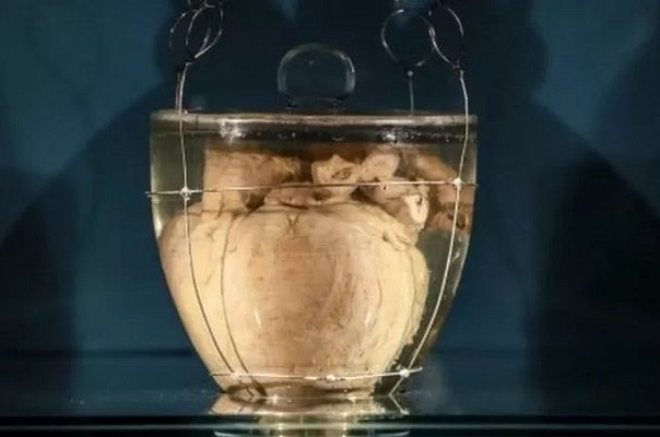 Llega a Brasil el corazón de Pedro I, su primer emperador