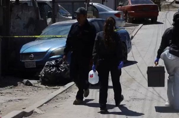 Niño muere tras ser atacado por perro de su familia, en Tijuana