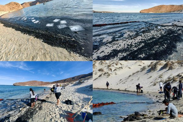 Catástrofe ambiental en playa Balandra, en BCS: yate derrama combustible al mar