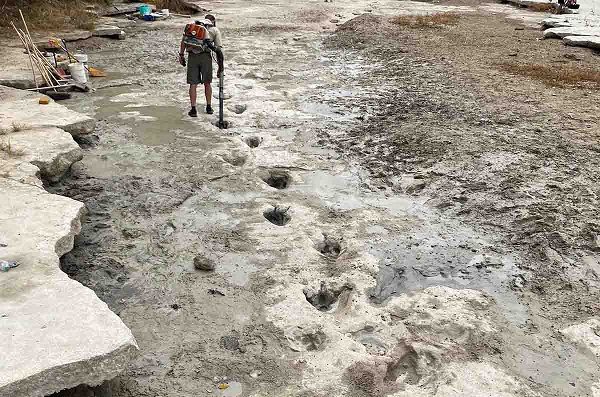 Sequía en Texas revela huellas de dinosaurios de hace 113 millones de años