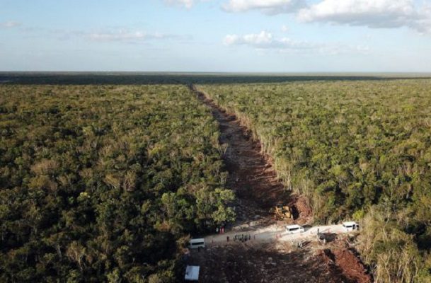 Tribunal federal rechaza suspender obras del tramo 5 de Tren Maya
