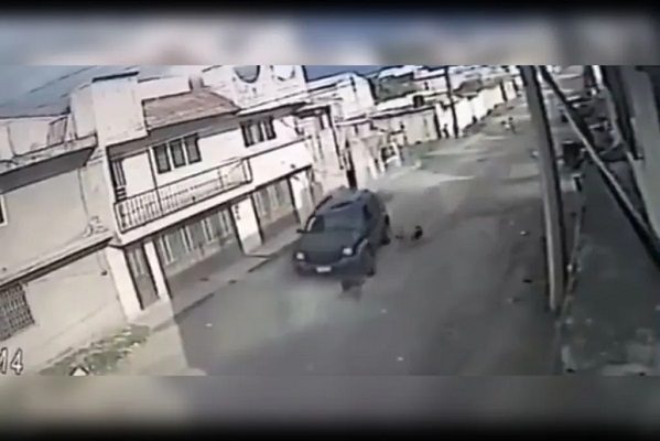 Exhiben a conductor que arrolló intencionalmente a perro en Puebla