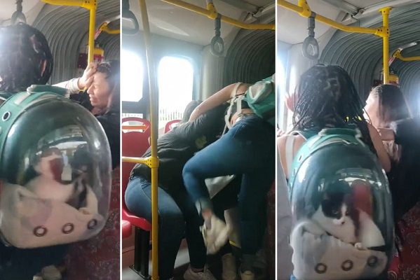 Con gatito y embarazada, mujeres protagonizan pelea por asiento en camión #VIDEO