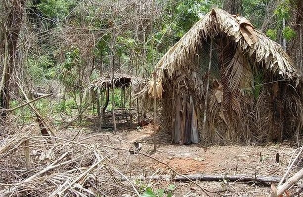 Muere en Brasil el “indígena del hoyo”, aislado de cualquier contacto durante 30 años