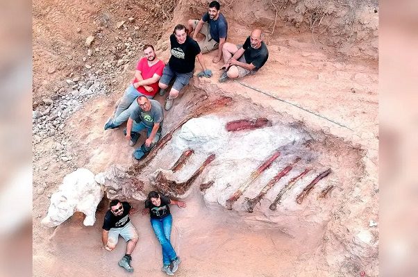 Descubren uno de los dinosaurios de cuello largo más grandes encontrados hasta la fecha