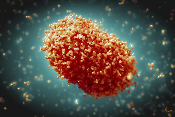 EEUU reporta primera muerte de paciente infectado con viruela del mono