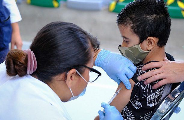 Gobierno anuncia campaña para vacunar a niños contra polio, papiloma e influenza
