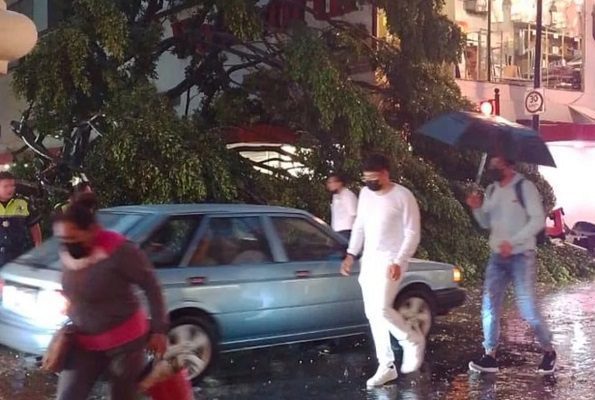 Fuertes lluvias provocan la muerte de un niño, caída de árboles y daños materiales en Puebla