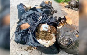 Policía de León decomisa 90 kilos de marihuana abandonados en la calle
