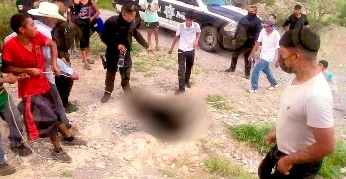 Cachorro de oso asesinado en Coahuila
