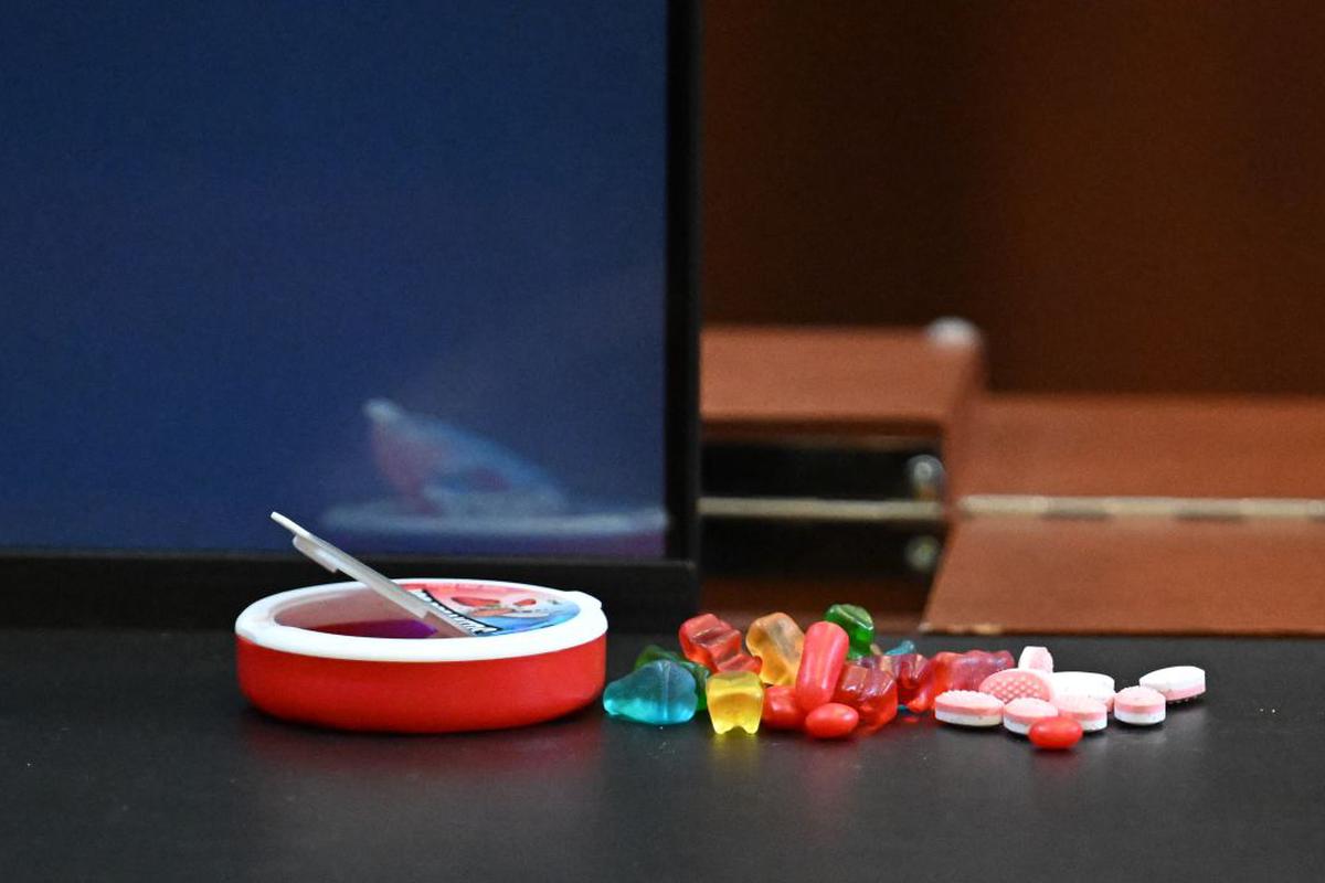 Empresa ofrece 100 mil dólares al año por probar dulces