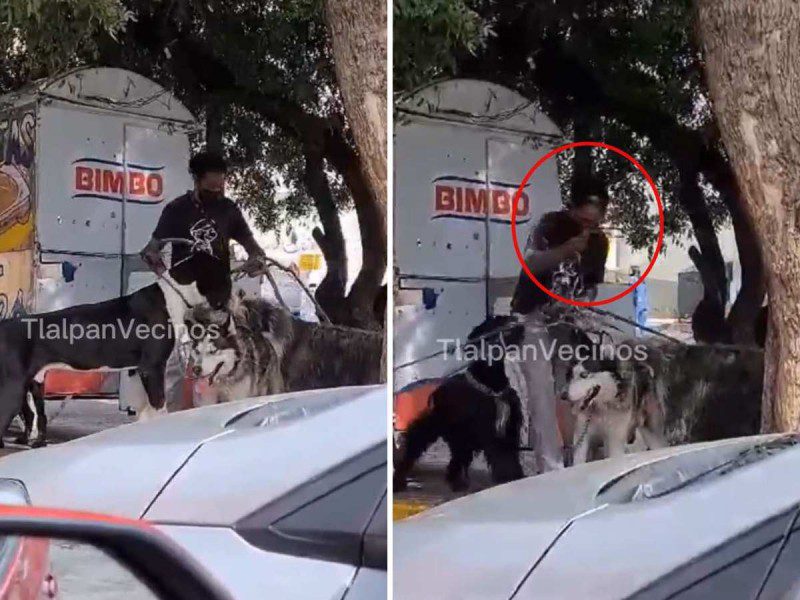 Exhiben a paseador de perros maltratándolos en el Ajusco