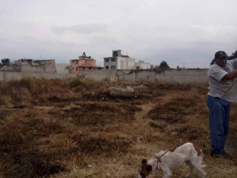 Hombre acusado de matar a varios perros en Toluca