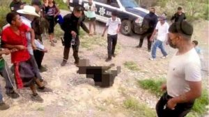 Identifican a responsables de la muerte del cachorro de oso en Coahuila
