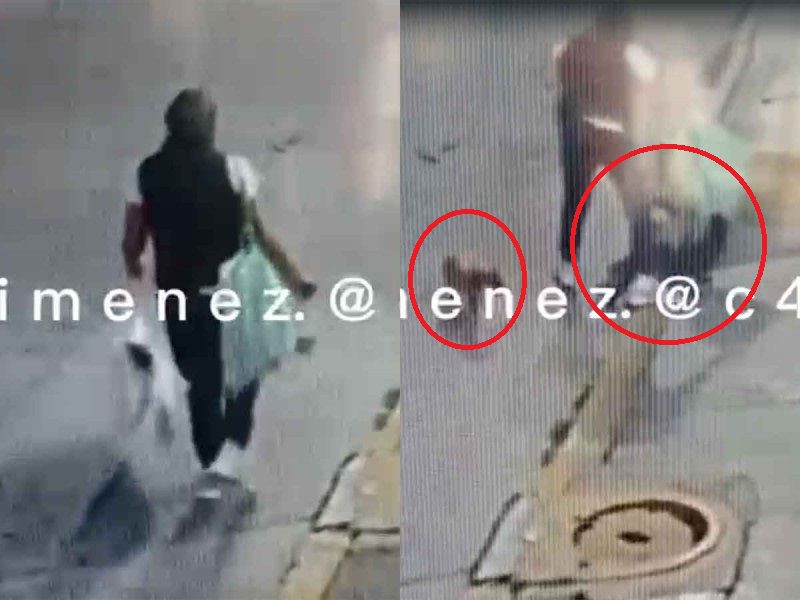 Mujer abandona a 5 perritos en Chimalhuacán