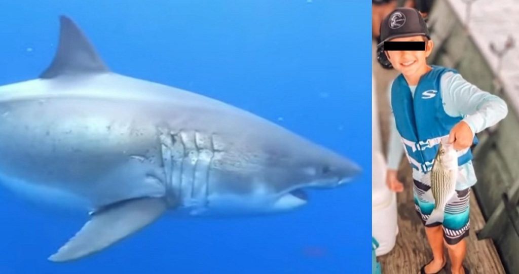 Niño pierde la pierna tras el ataque de un tiburón en Florida