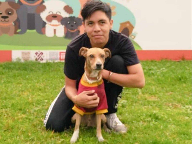 Perrito rescatado en las vías de la L2 del Metro ya está con su dueño