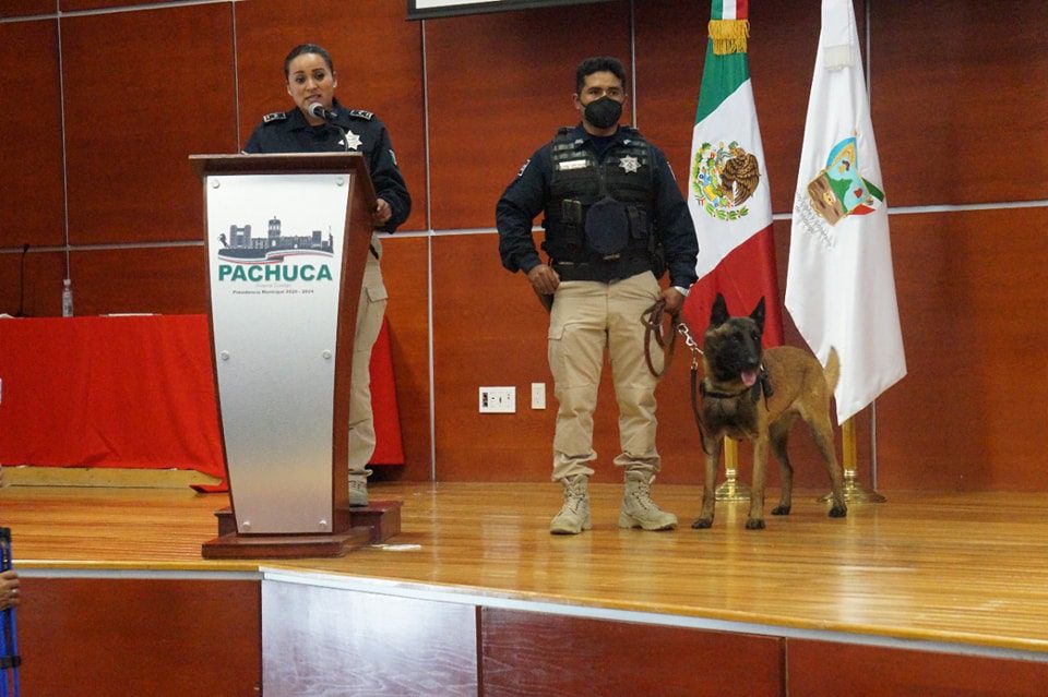 ‘Astro’, agente canino de la Policía de Pachuca, se jubila