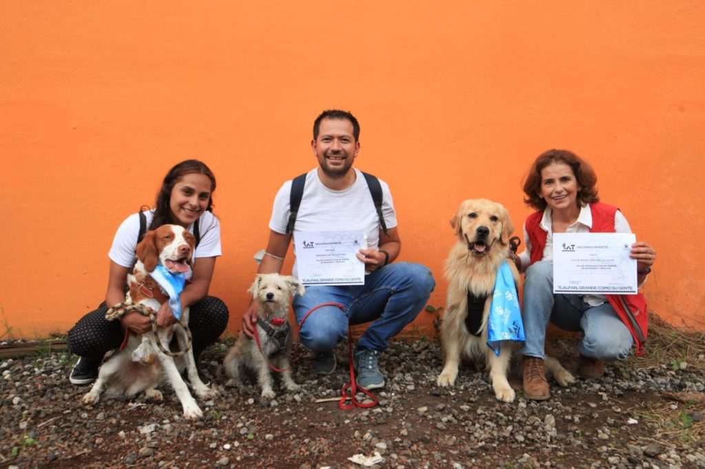 27 caninos se gradúan del primer Taller de rescate para perros en Tlalpan