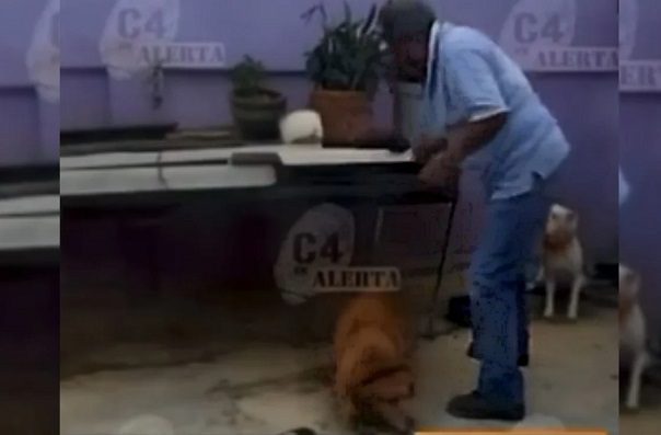 Exhiben a sujeto golpeando con un palo a un perro encadenado en Iztapalapa