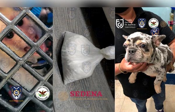 Aseguran un mono, droga y autos de lujo durante detención de “El Batlia”