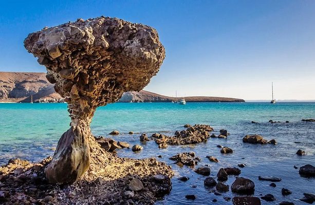 Descartan daño a fauna de Balandra tras incendio de yate