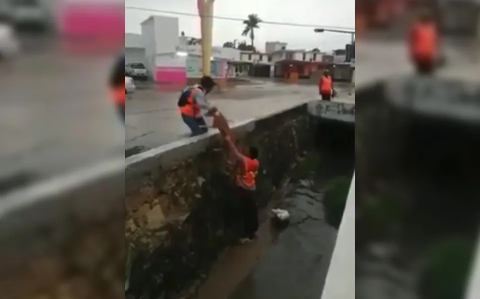 Trabajadores en Tampico de limpieza rescatan a perrito de canal pluvial #VIDEO