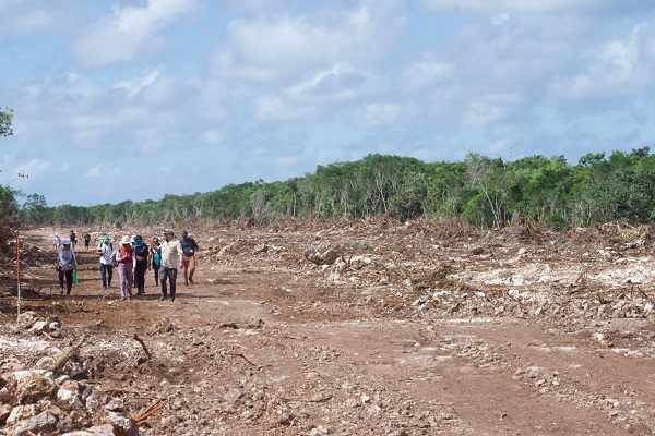 Conagua realizará estudios de cruce del Tren Maya con cuerpos de agua