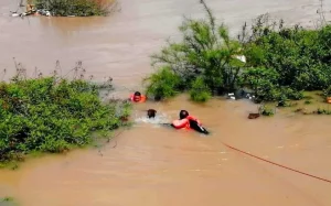 Bomberos rescatan a perritos arrastrados por el Río Nazas, en Torreón