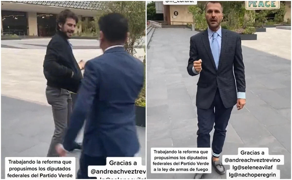 Tunden a diputado del Verde por #VIDEO sobre portación de armas