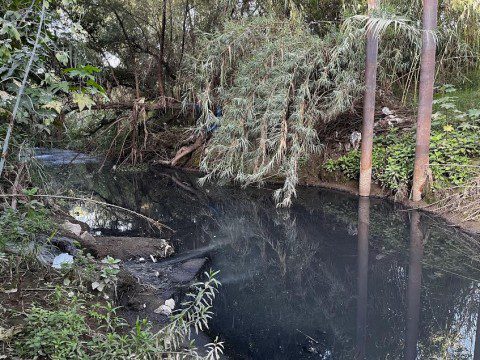 Agreden a personal de Profepa durante inspección de río en Oaxaca