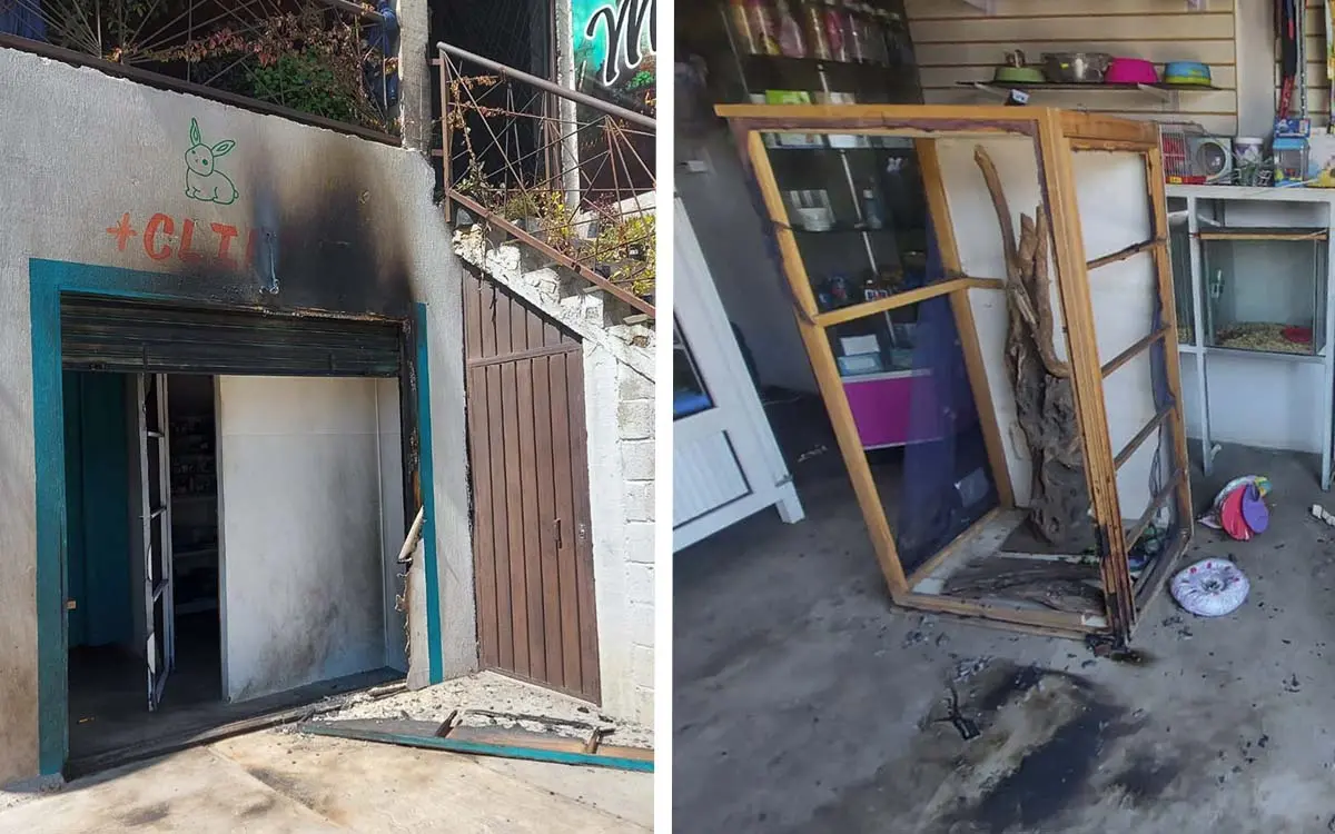 Sujeto quema una veterinaria en Puebla con animales dentro #VIDEO