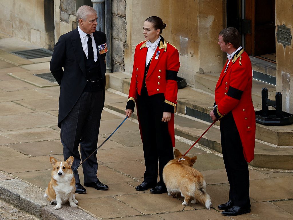 Los corgis de la reina Isabel II también acuden al funeral de la monarca #VIDEO
