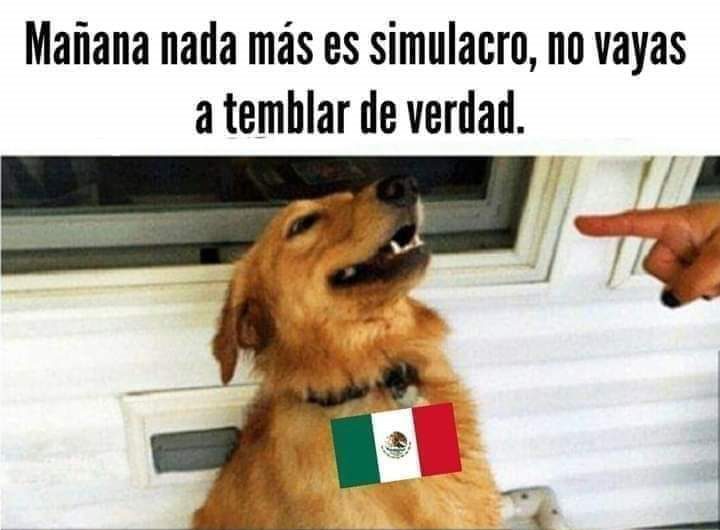 ¿Y el bolillo? Las redes se llenan de memes por el sismo a momentos del Simulacro Nacional