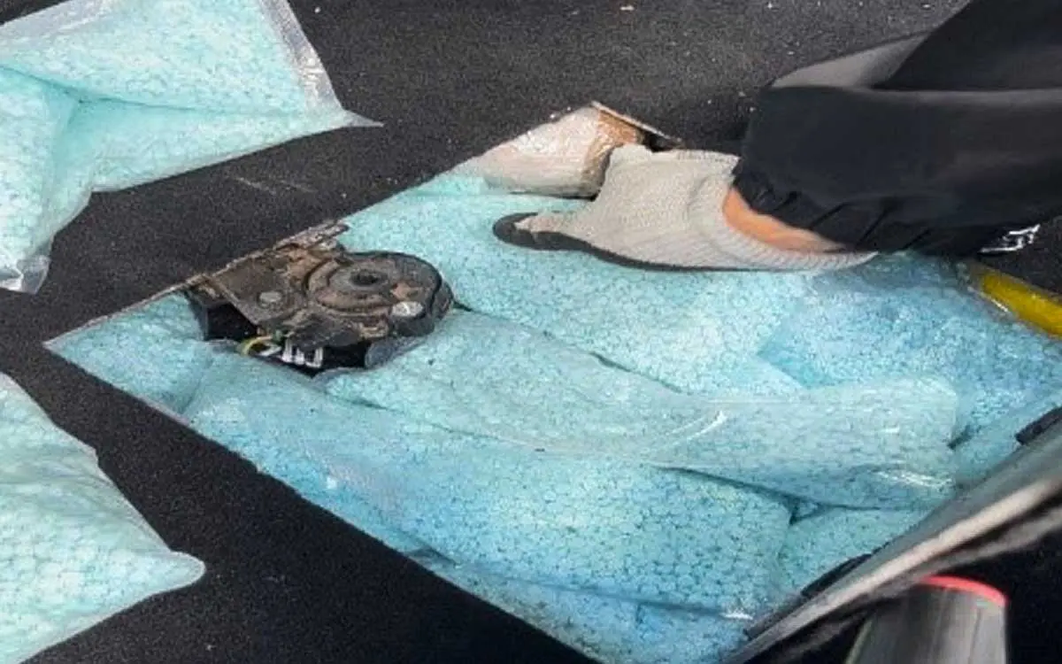 FGR investiga decomiso de 500 mil pastillas de fentanilo en Sinaloa