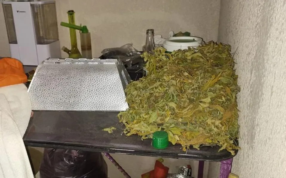 Desmantelan laboratorio clandestino de mariguana en Ecatepec