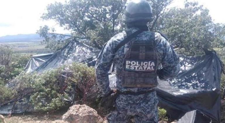 GN asegura campamentos del crimen organizado en Zacatecas