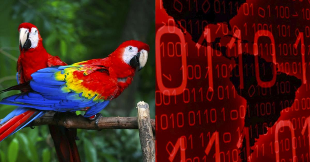 Grupo de hackers Guacamaya