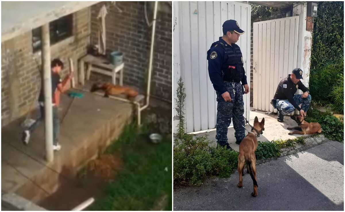 Maltratador de perros en Contreras