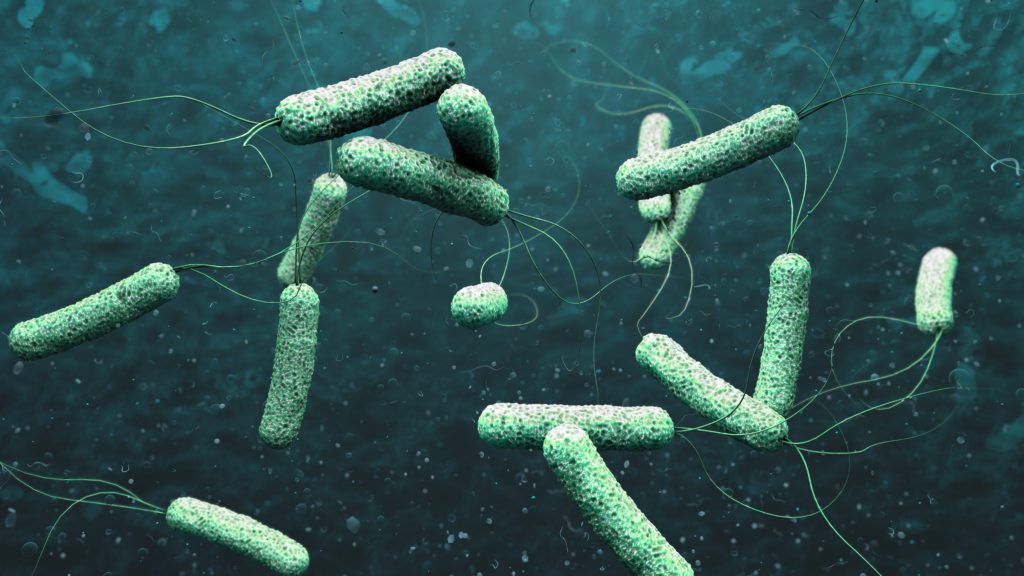 Secretaría de Salud emite aviso epidemiológico por brote de cólera