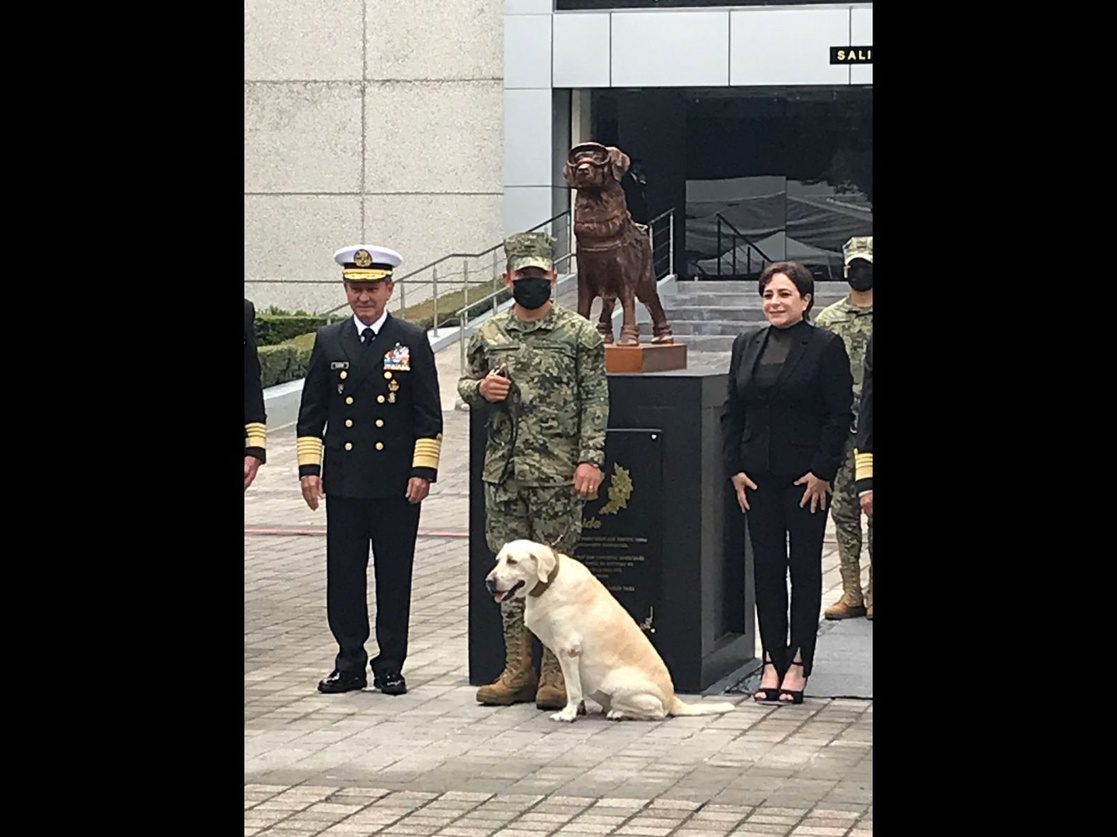 La Semar devela la nueva estatua de 'Frida', perrita rescatista