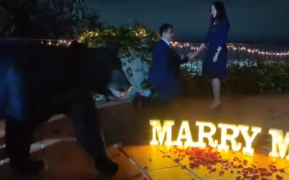 Enorme oso interrumpe propuesta de matrimonio en Chipinque, NL #VIDEO