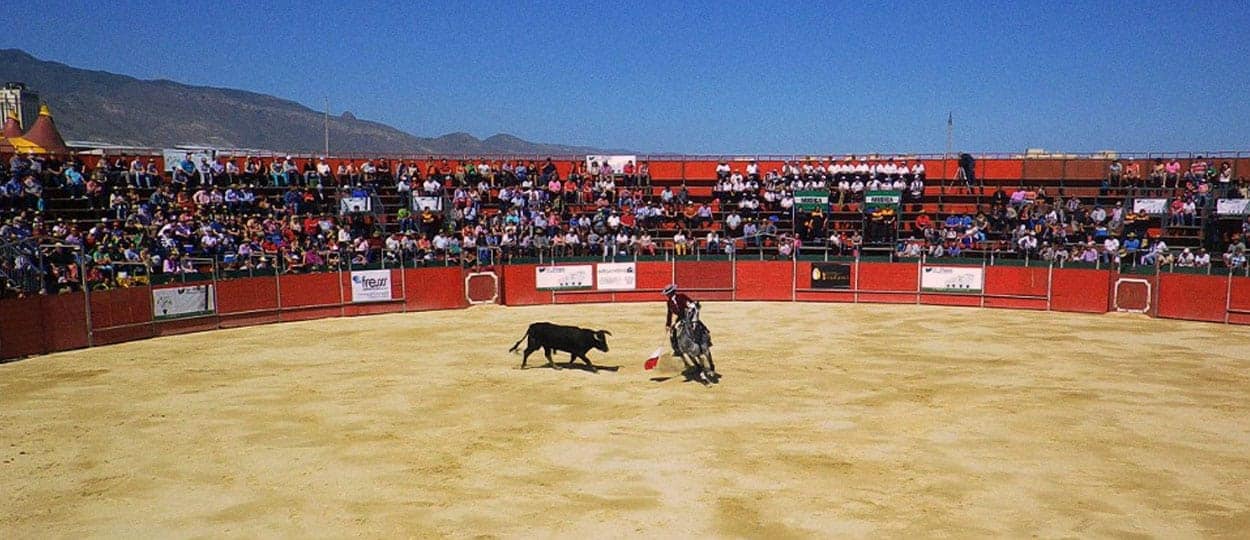 Diputados retiran iniciativa para prohibir las corridas de toros