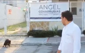 Perrito ‘va al baño’ durante #VIDEO de diputado en Tamaulipas