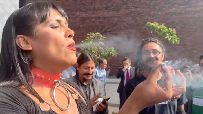 Diputada trans y activistas fuman mariguana en San Lázaro #VIDEO