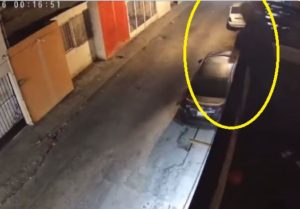 Ladrón se arroja desde terraza tras ser perseguido por perros, en Saltillo #VIDEOS