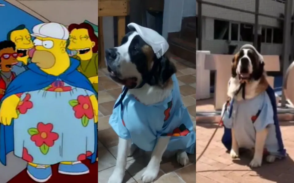 Perrito arrasa concurso de disfraces vestido de Homero Simpson #VIDEO